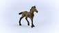 Preview: Schleich HORSE CLUB -   Paso Peruano Fohlen