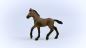 Preview: Schleich HORSE CLUB -   Paso Peruano Fohlen