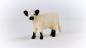 Preview: Schleich  FARM WORLD -  Galloway Kuh