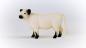 Preview: Schleich  FARM WORLD -  Galloway Kuh