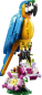 Preview: LEGO® Creator - Exotischer Papagei