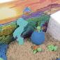 Preview: Kinetic Sand Eco - Turtle Beach Set