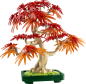 Preview: LEGO® Botanical Collection - Japanischer Roter Ahorn – Bonsai-Baum