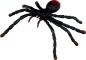 Preview: Biege-Spinne - Wild+Cool - Die Spiegelburg
