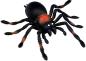 Preview: Kellerspinne - Wild+Cool - Die Spiegelburg