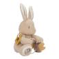 Preview: Little Dutch - Aktivitäten-Kuscheltier Hase - Baby Bunny