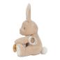Preview: Little Dutch - Aktivitäten-Kuscheltier Hase - Baby Bunny