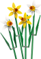 Preview: LEGO  - Narzissen