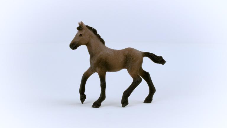 Schleich HORSE CLUB -   Paso Peruano Fohlen