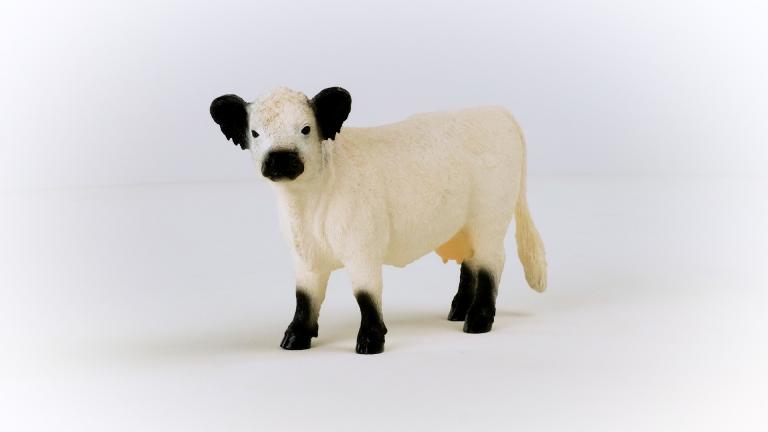 Schleich  FARM WORLD -  Galloway Kuh