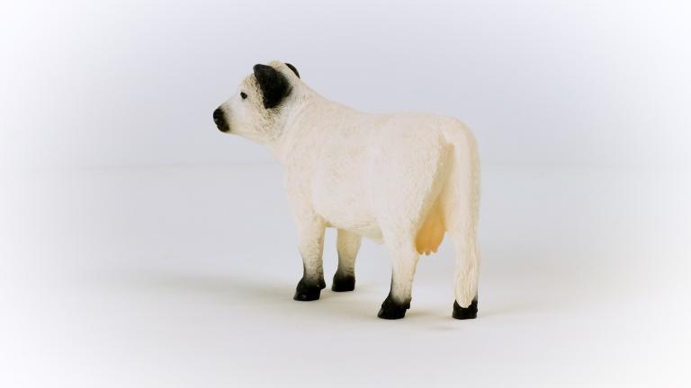 Schleich  FARM WORLD -  Galloway Kuh