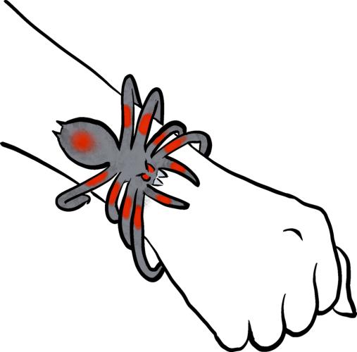 Biege-Spinne - Wild+Cool - Die Spiegelburg