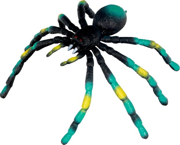 Biege-Spinne - Wild+Cool - Die Spiegelburg