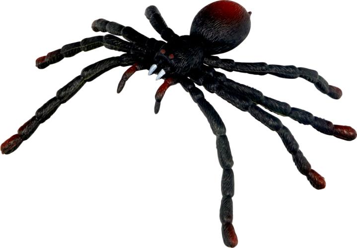 Biege-Spinne - Wild+Cool - Die Spiegelburg