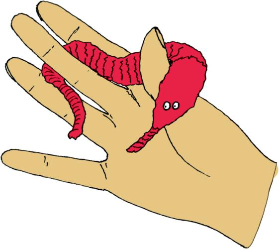 Magischer Wurm - Bunte Geschenke - Die Spiegelburg
