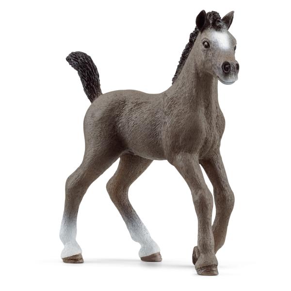 Schleich HORSE CLUB -   Cheval de Selle Francais Fohlen