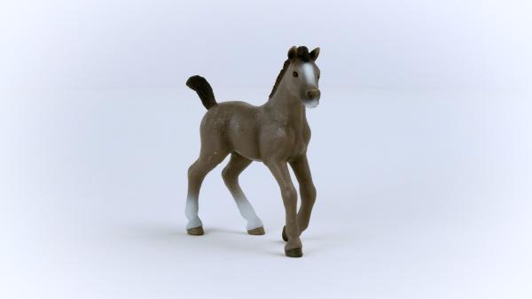 Schleich HORSE CLUB -   Cheval de Selle Francais Fohlen