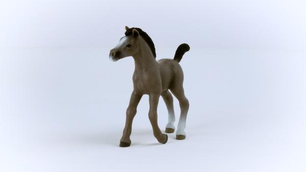 Schleich HORSE CLUB -   Cheval de Selle Francais Fohlen