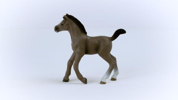 Schleich HORSE CLUB -   Cheval de Selle Francais Fohlen