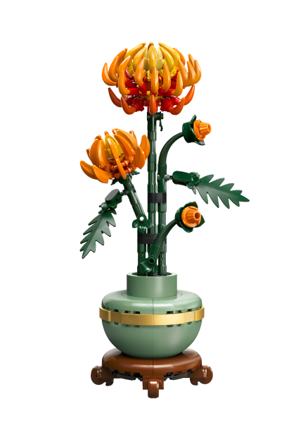 LEGO® Botanical Collection -  Chrysantheme