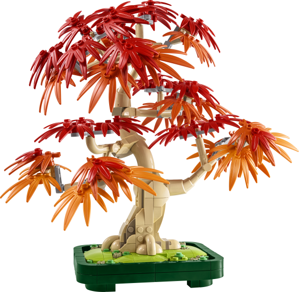 LEGO® Botanical Collection - Japanischer Roter Ahorn – Bonsai-Baum
