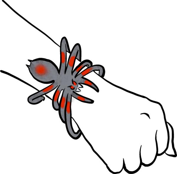 Biege-Spinne - Wild+Cool - Die Spiegelburg