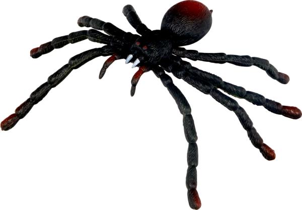 Biege-Spinne - Wild+Cool - Die Spiegelburg