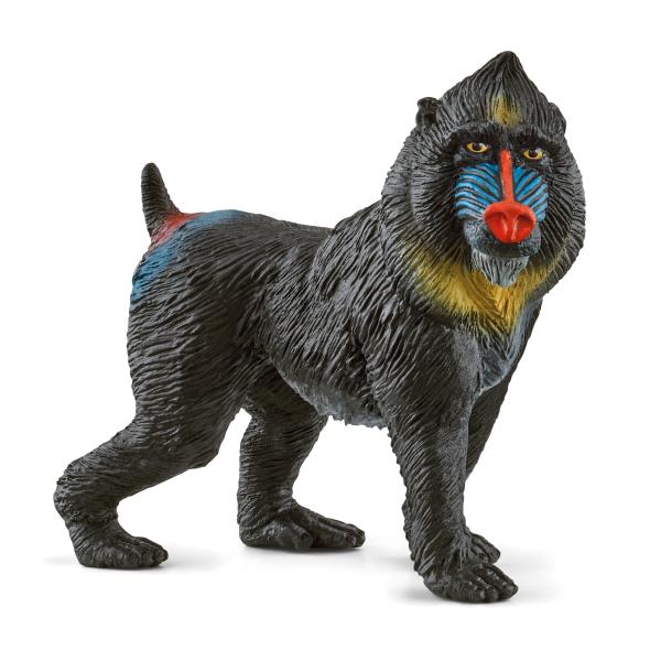 Schleich WILD LIFE -  Mandrill